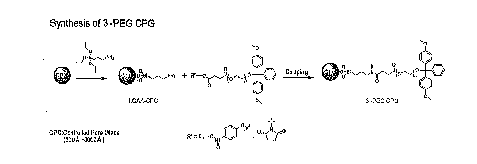 Sirna conjugate and preparation method thereof