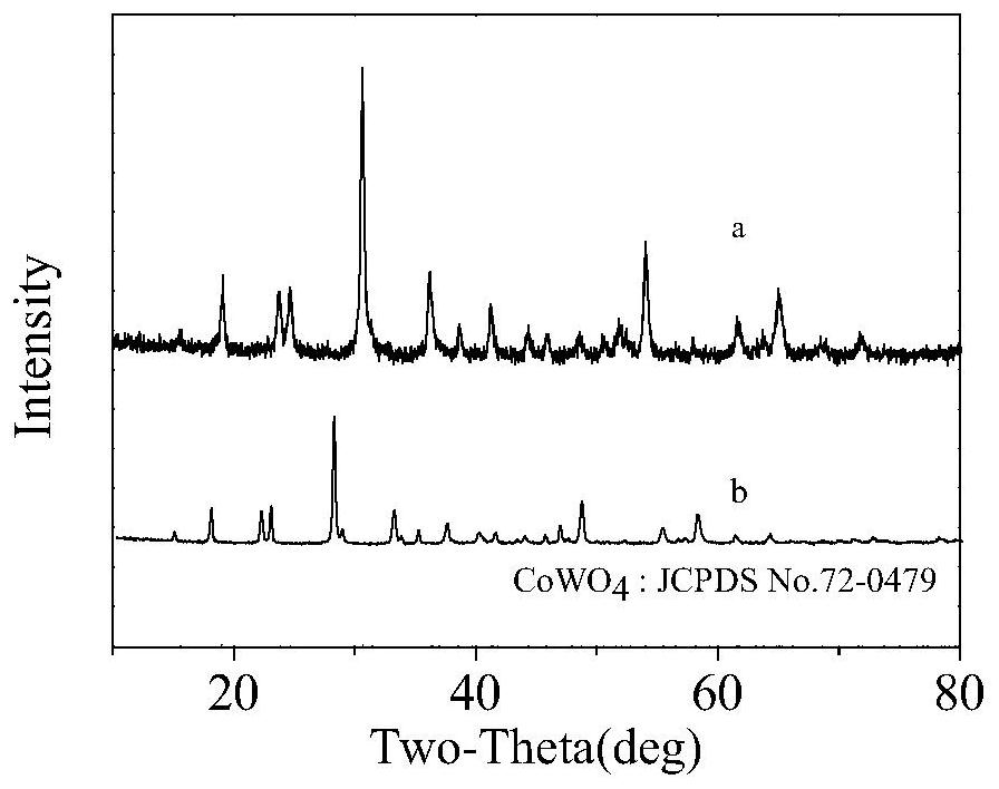 Cobalt tungstate material synthesized under assistance of sodium citrate, and preparation method and application thereof