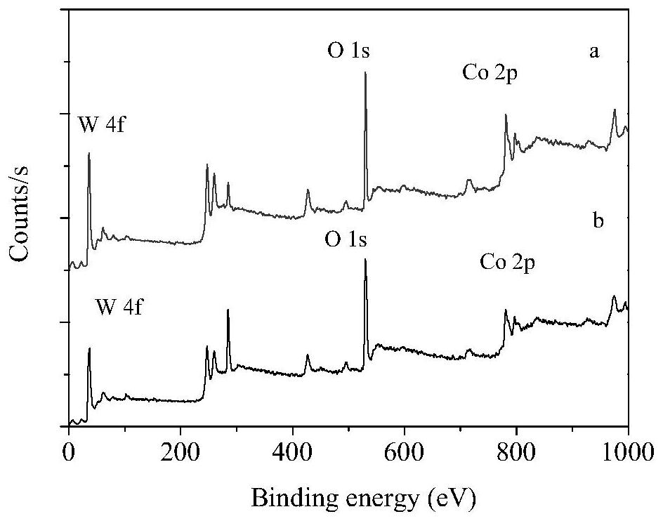 Cobalt tungstate material synthesized under assistance of sodium citrate, and preparation method and application thereof