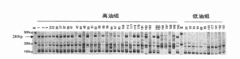 A pair of special primers for assisted evaluation of oil content locus of soybean kernel and method thereof