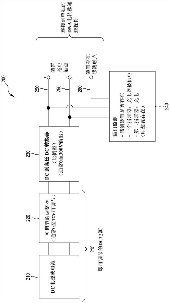 Electrotransfer therapy delivery devices, systems, and methods