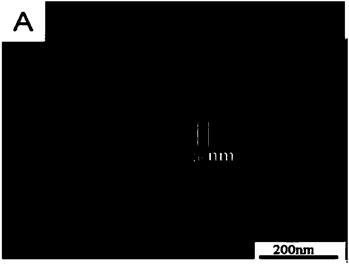 Preparing method for nano metal particle array structures