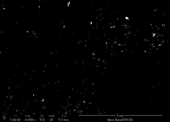 Silicone rubber composite material for SLS (selective laser sintering), preparation method of composite material and application of composite material