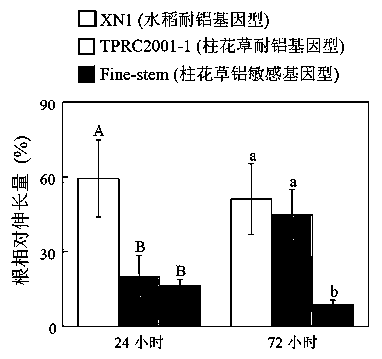 Malic enzyme gene SgME1 as well as application thereof