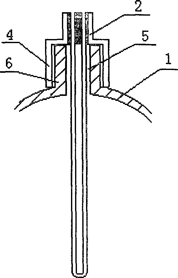 Water purifying bottle and water purifying method