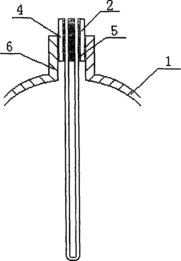 Water purifying bottle and water purifying method