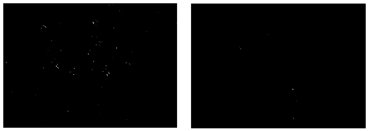 Photo-crosslinked recombinant collagen hydrogel, preparation method and application of the photo-crosslinked recombinant collagen hydrogel in 3D biological printing