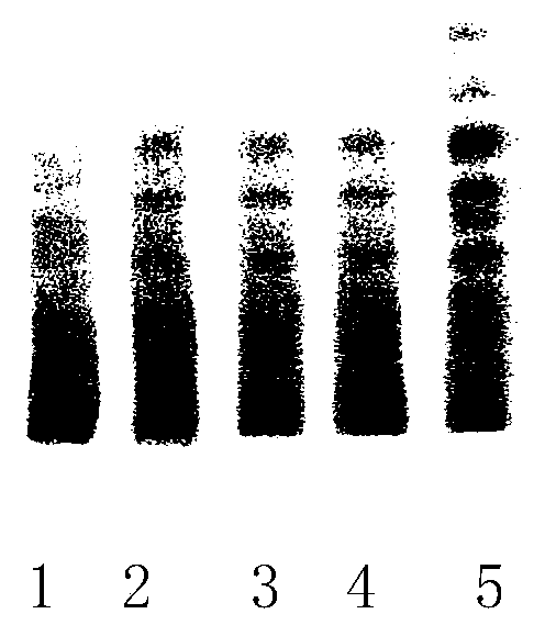 A method for the determination of newly added detection components of Tang Herb Tablets, a traditional Chinese medicine for treating AIDS