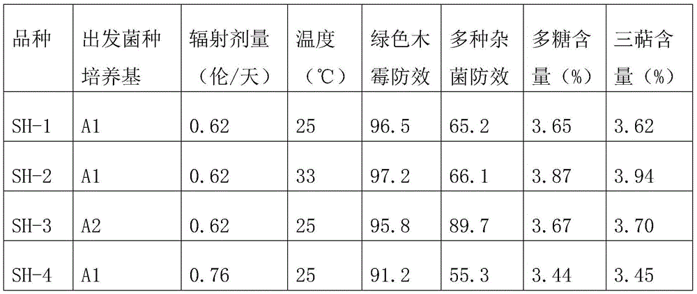 Disease-resistant variety breeding method of wild ganoderma lucidum