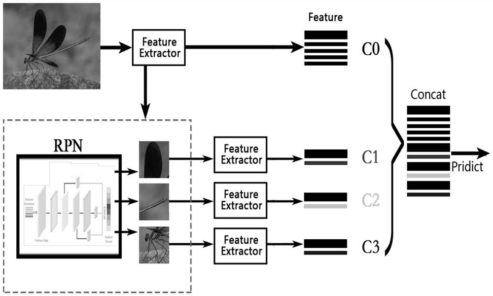 Recognition Method of Odonata Insects Based on Region Proposal Network