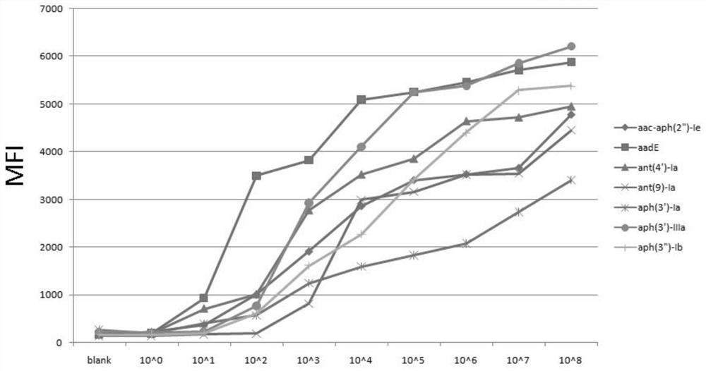 A multiple liquid-phase gene chip primer, kit and analysis method for simultaneously detecting seven aminoglycosamine drug-resistant genes