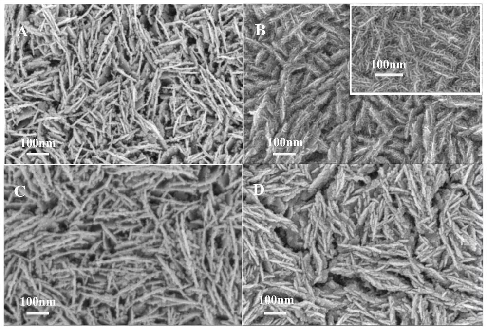 a worm-like ni/ni  <sub>x</sub> fe  <sub>1-x</sub> o  <sub>y</sub> Hydrogen evolution catalyst and preparation method thereof