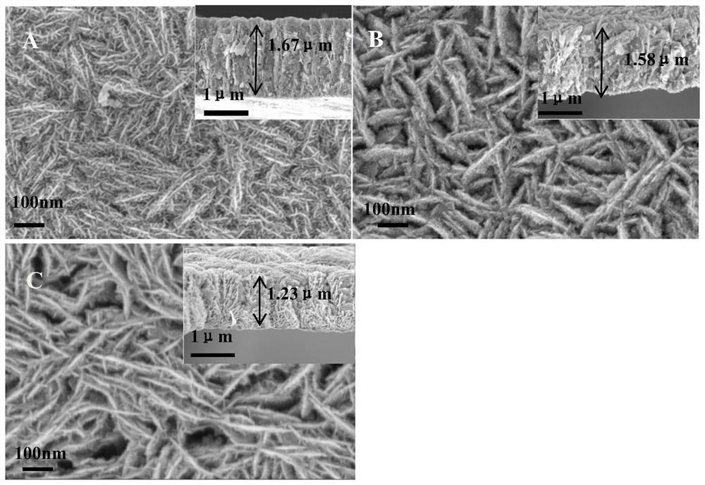 a worm-like ni/ni  <sub>x</sub> fe  <sub>1-x</sub> o  <sub>y</sub> Hydrogen evolution catalyst and preparation method thereof