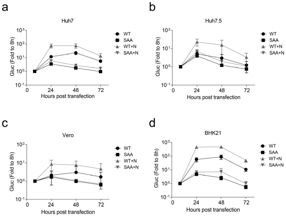 Cloning, construction and application of new coronavirus SARS-CoV-2 subgenome replicon based on bacterial artificial chromosome