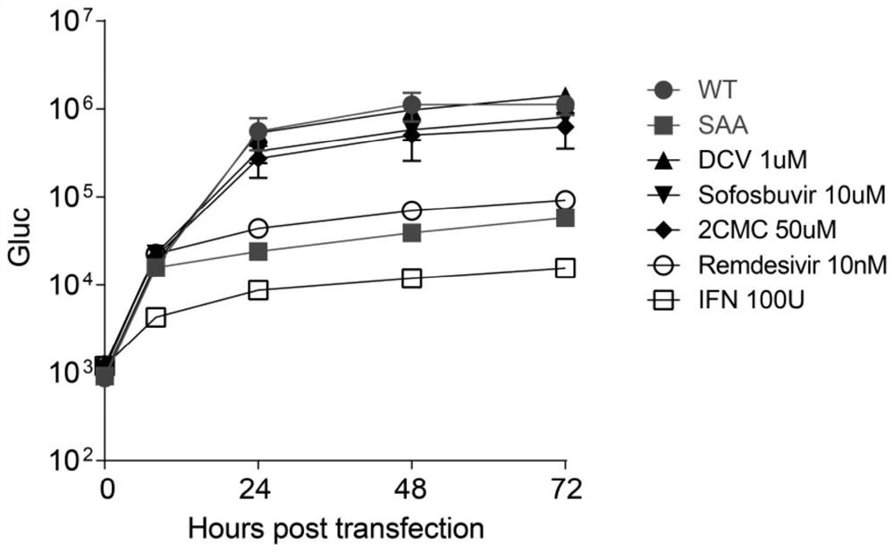 Cloning, construction and application of new coronavirus SARS-CoV-2 subgenome replicon based on bacterial artificial chromosome