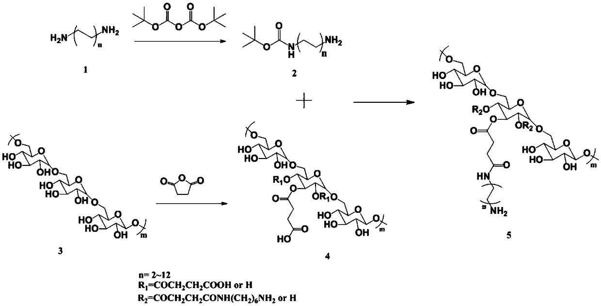 Cellulose enhanced glucan-based injectable antibacterial hydrogel dressing and preparation method thereof