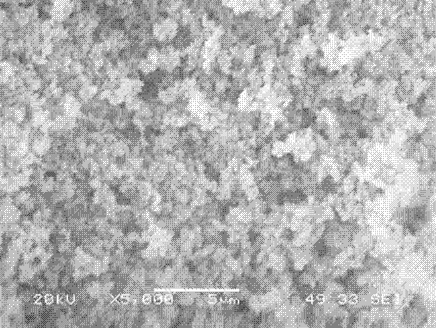 Preparation method of epothilone B molecularly imprinted polymer