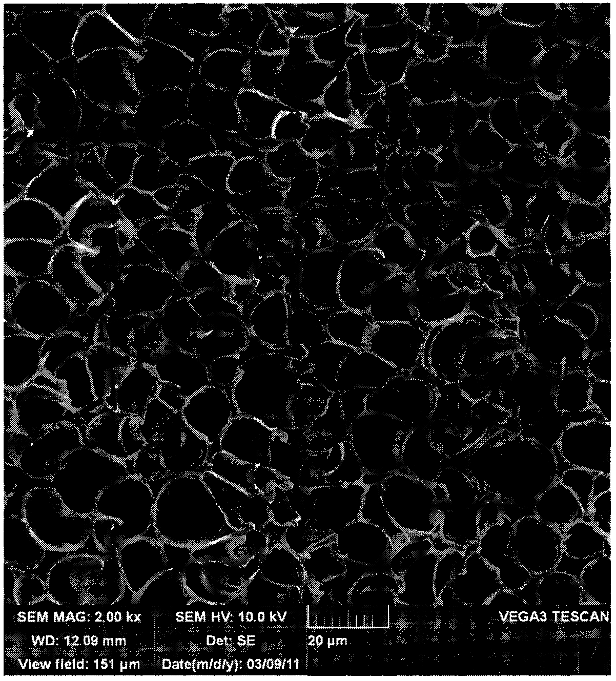 Preparation method of micro-pore foaming polycarbonate reflecting film