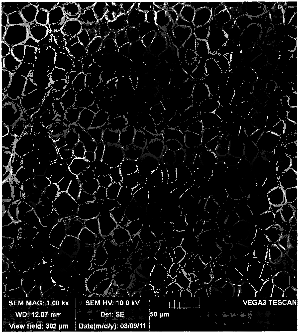 Preparation method of micro-pore foaming polycarbonate reflecting film