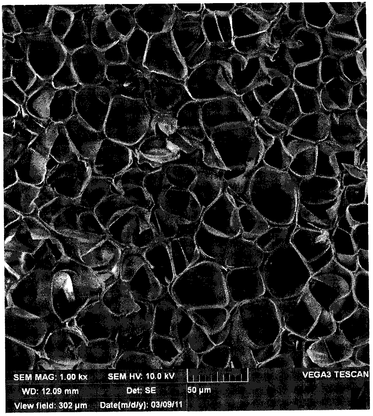 Preparation method of micro-pore foaming polycarbonate reflecting film