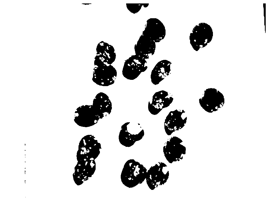 Colored moissanite gemstone and preparation method thereof