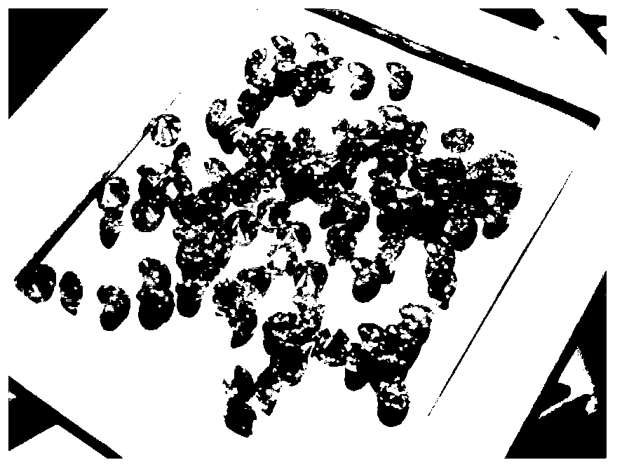 Colored moissanite gemstone and preparation method thereof