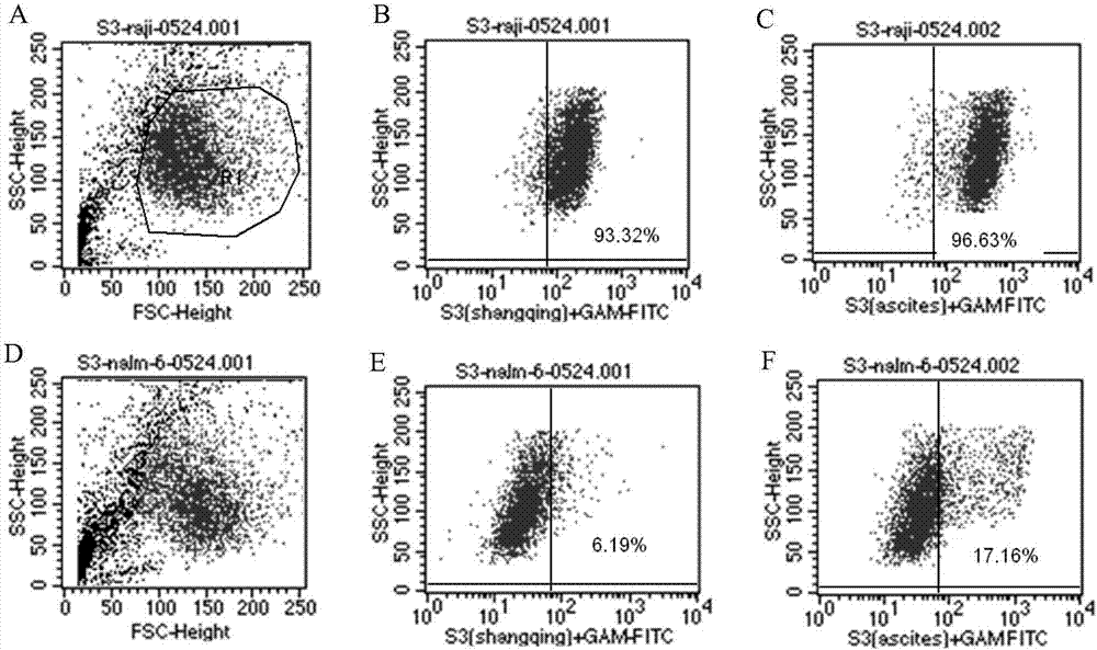 Antibody for resisting human CD79a extracellular terminal protein, coding gene and application