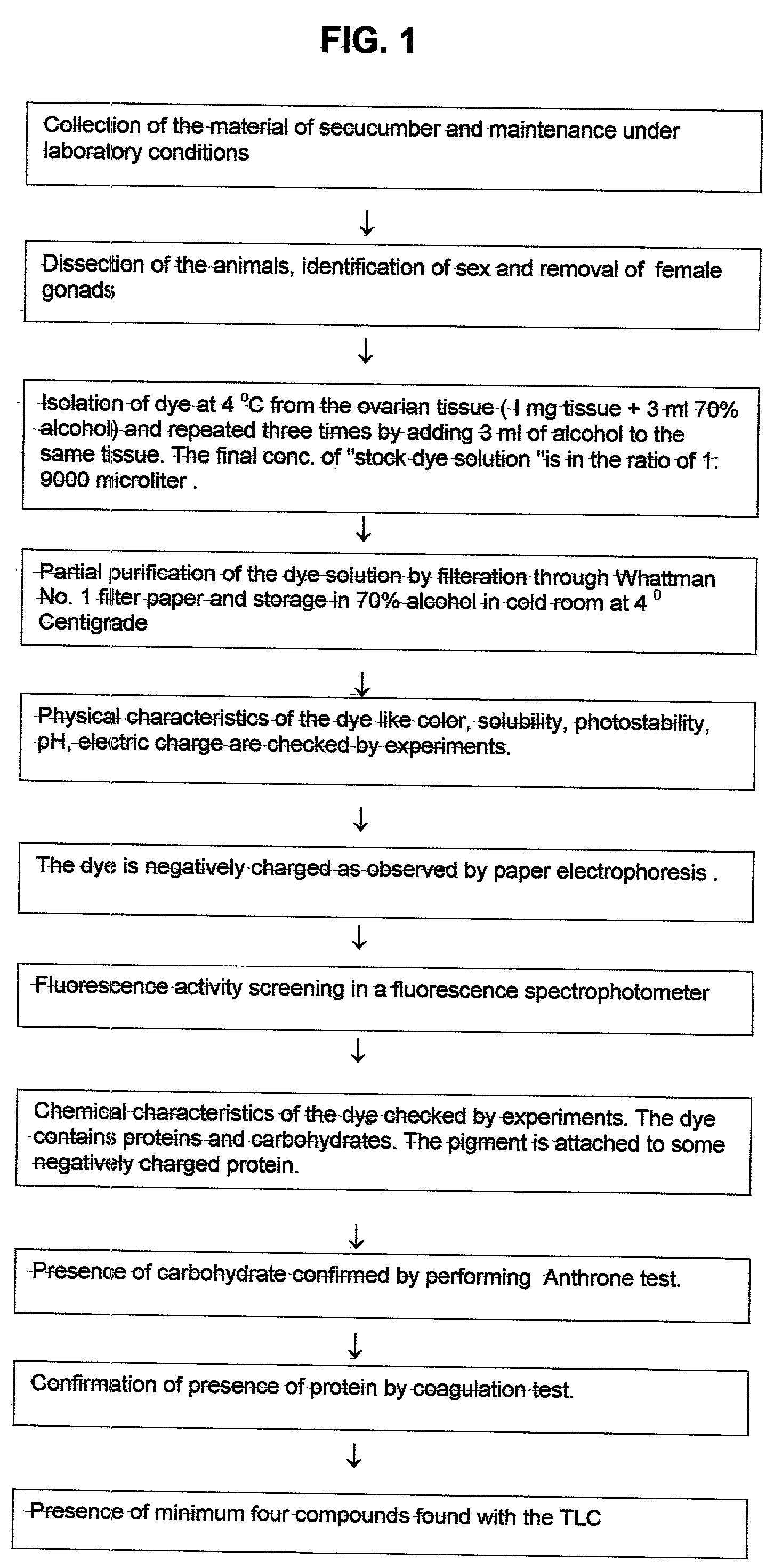 Natural nontoxic multicolor fluorescent protein dye from a marine invertebrate, compositions containing the said dye and its uses