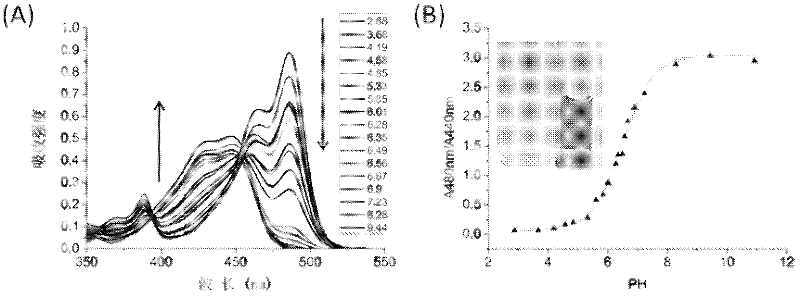 Heterocyclic-fused naphthalimide and preparation method and application thereof