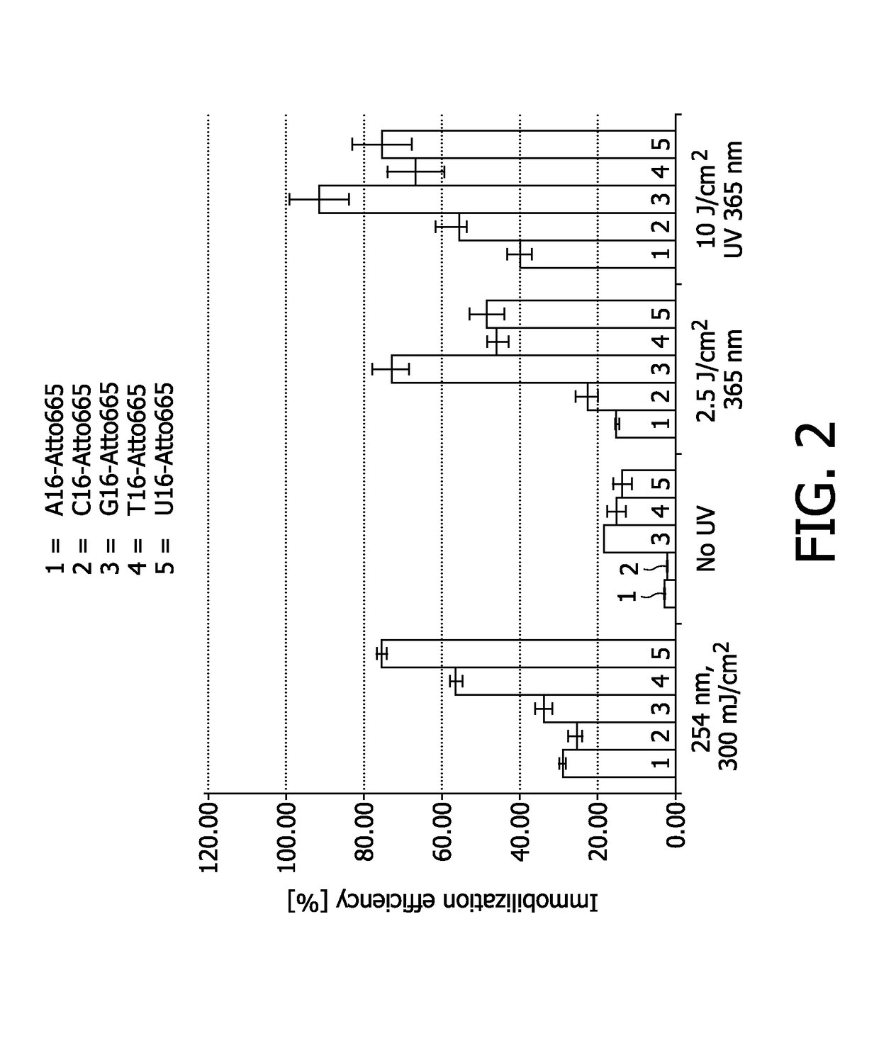 Method for immobilizing nucleic acids on a support