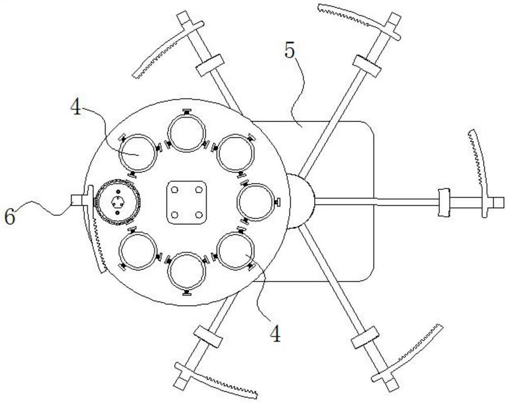 Buckwheat and edible bean quality integrated sandwich flour cake and processing technology thereof