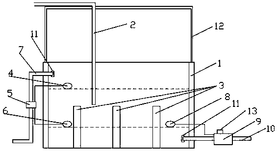 Indoor high-yield leech culture tank