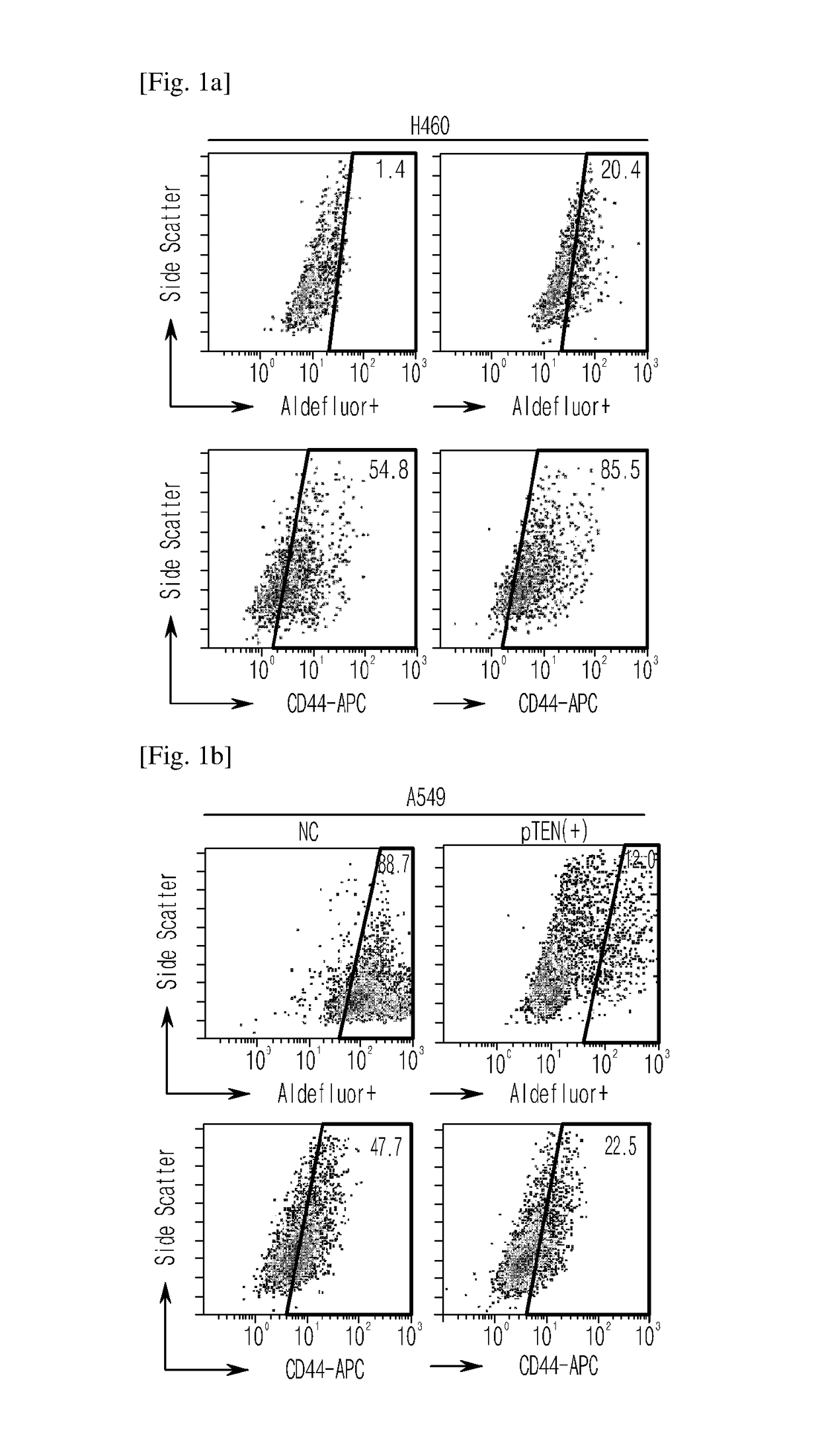 Method for regulating cancer stem cell growth by inhibiting phosphorylation of 120th threonine residue of TSPYL5 protein, a composition containing the peptide sequence functioning to inhibit the phosphorylation and a use thereof