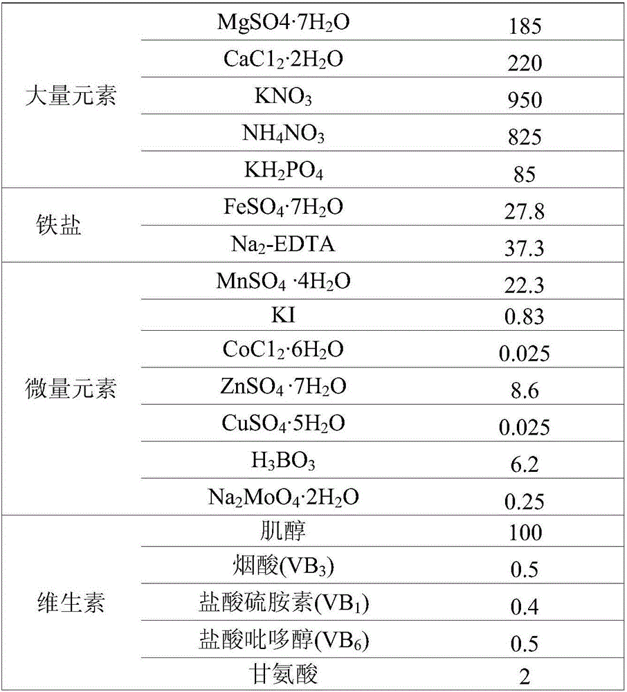 In-vitro rapid propagation method for haworthia cooperi v. truncata