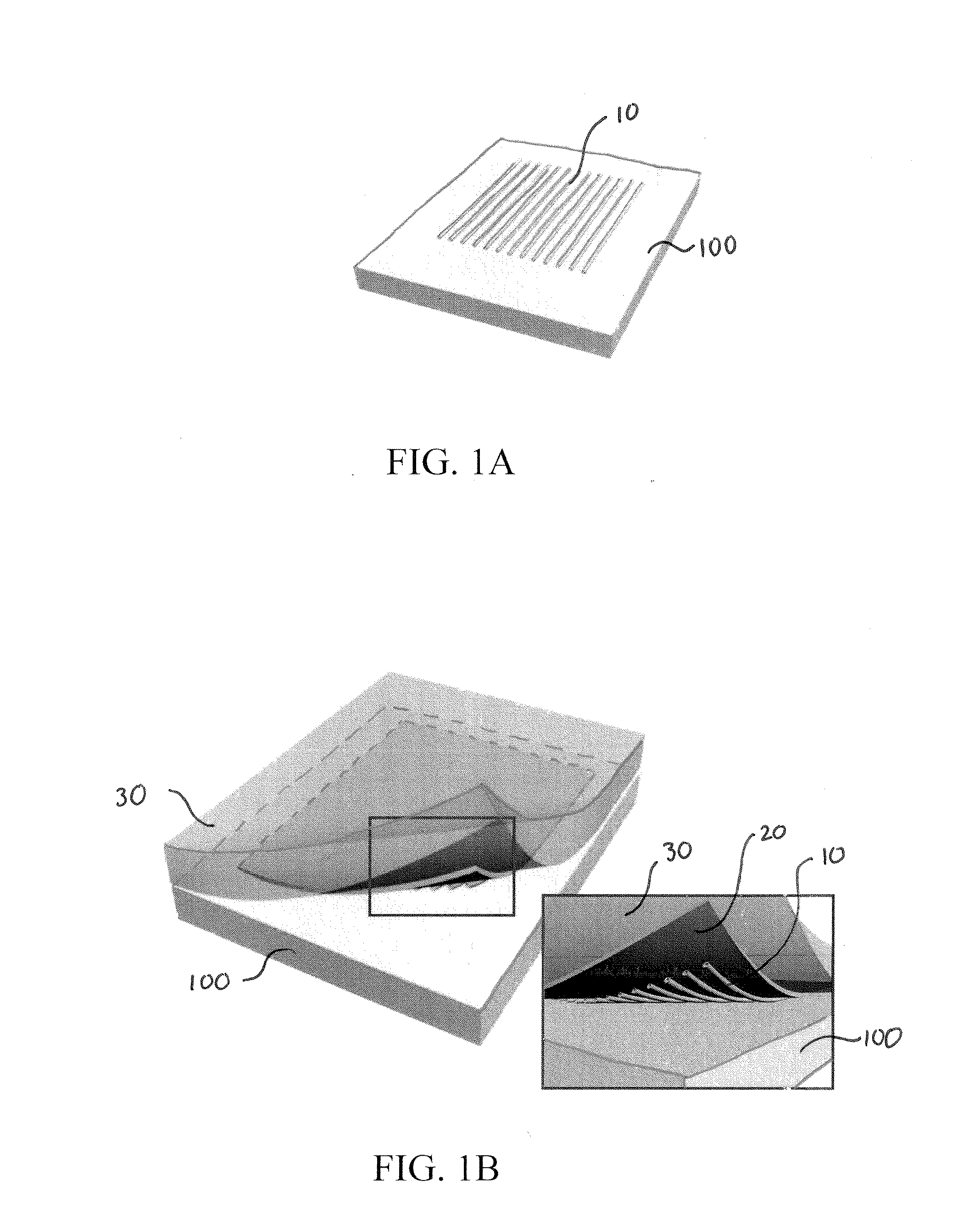 Transparent electronics based on transfer printed carbon nanotubes on rigid and flexible substrates