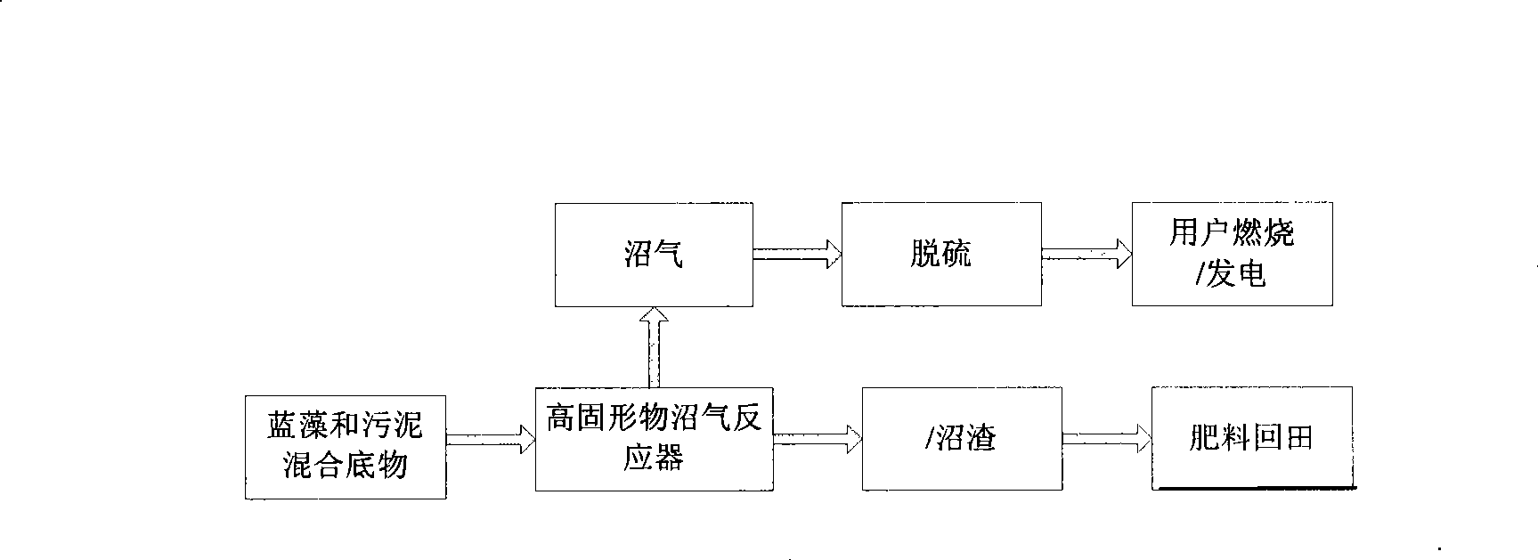 Method for producing marsh gas through mixed anaerobic fermentation of blue algae and sludge