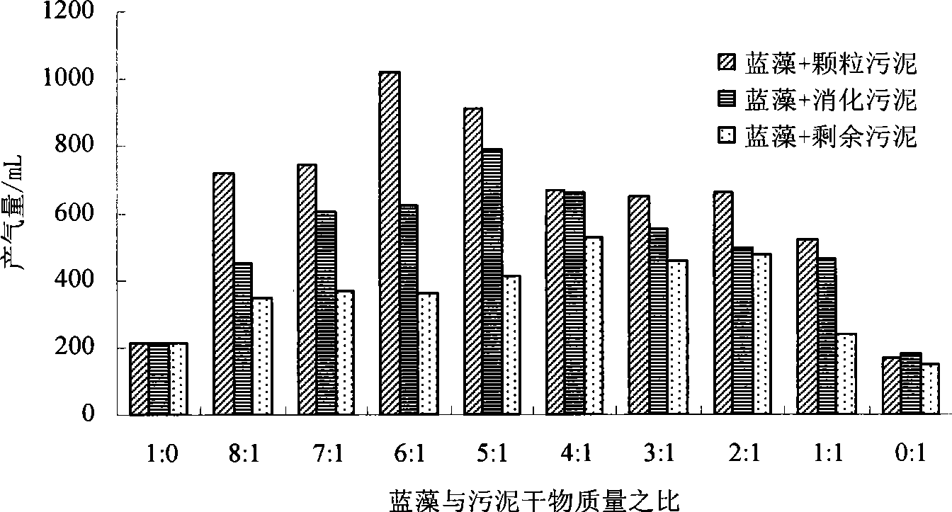 Method for producing marsh gas through mixed anaerobic fermentation of blue algae and sludge