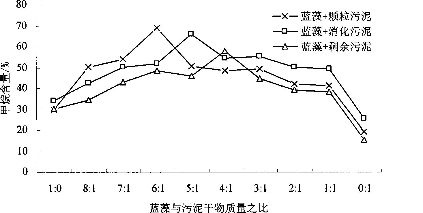 Method for producing marsh gas through mixed anaerobic fermentation of blue algae and sludge