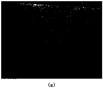 Heat-insulation and decoration integrated structure and preparation technique thereof