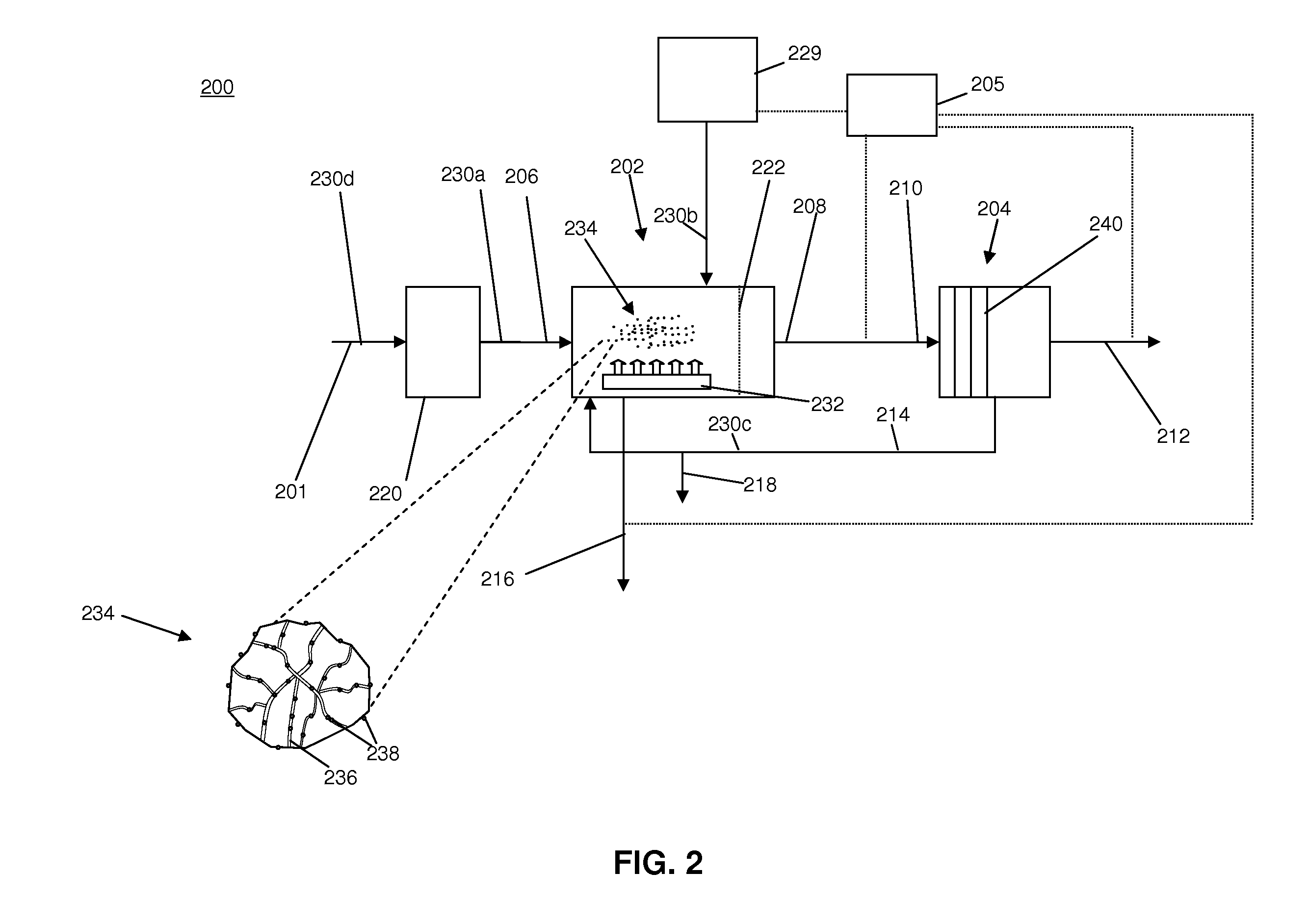 Wastewater treatment system and process including irradiation of primary solids