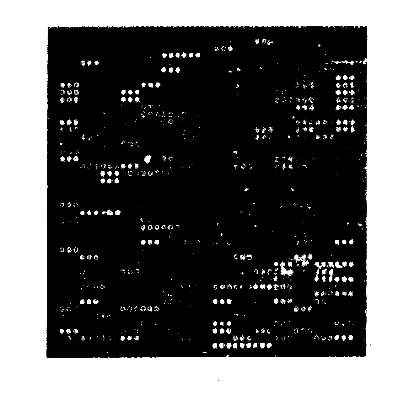 Method of labeling and profiling rnas