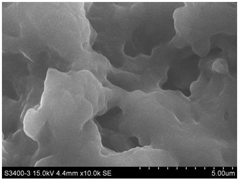 A kind of preparation method of porous polyquaternium salt gel adsorbent