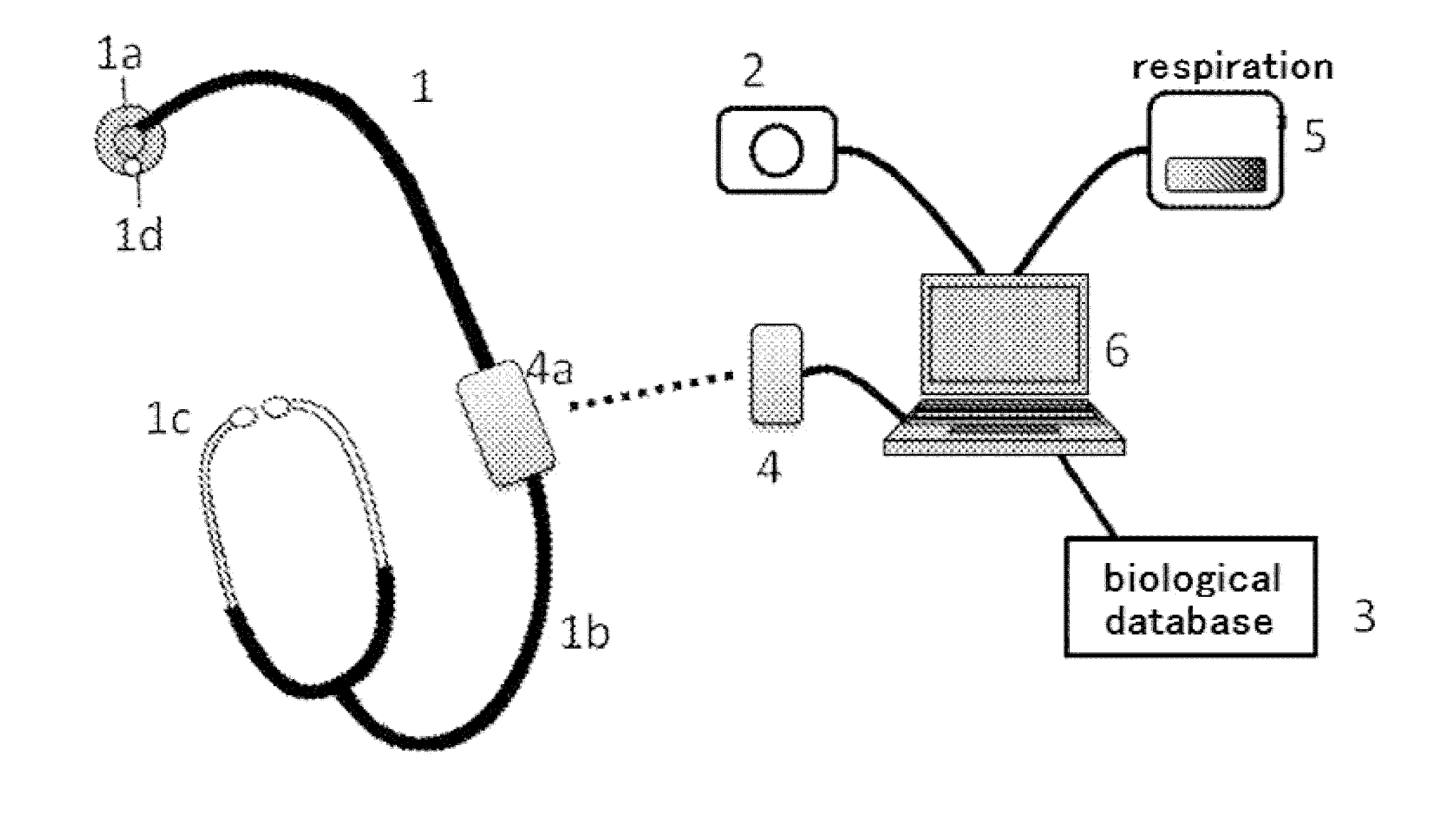 Stethoscopy training system and simulated stethoscope