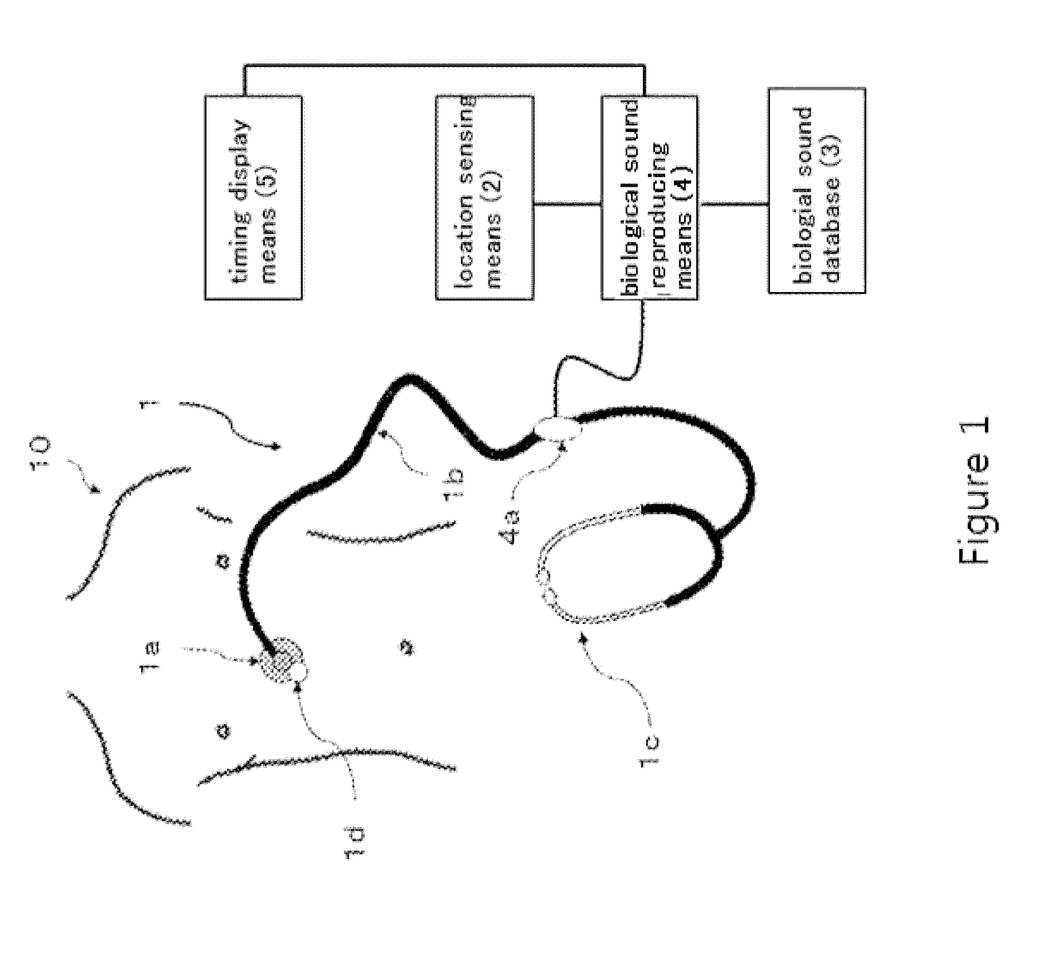 Stethoscopy training system and simulated stethoscope