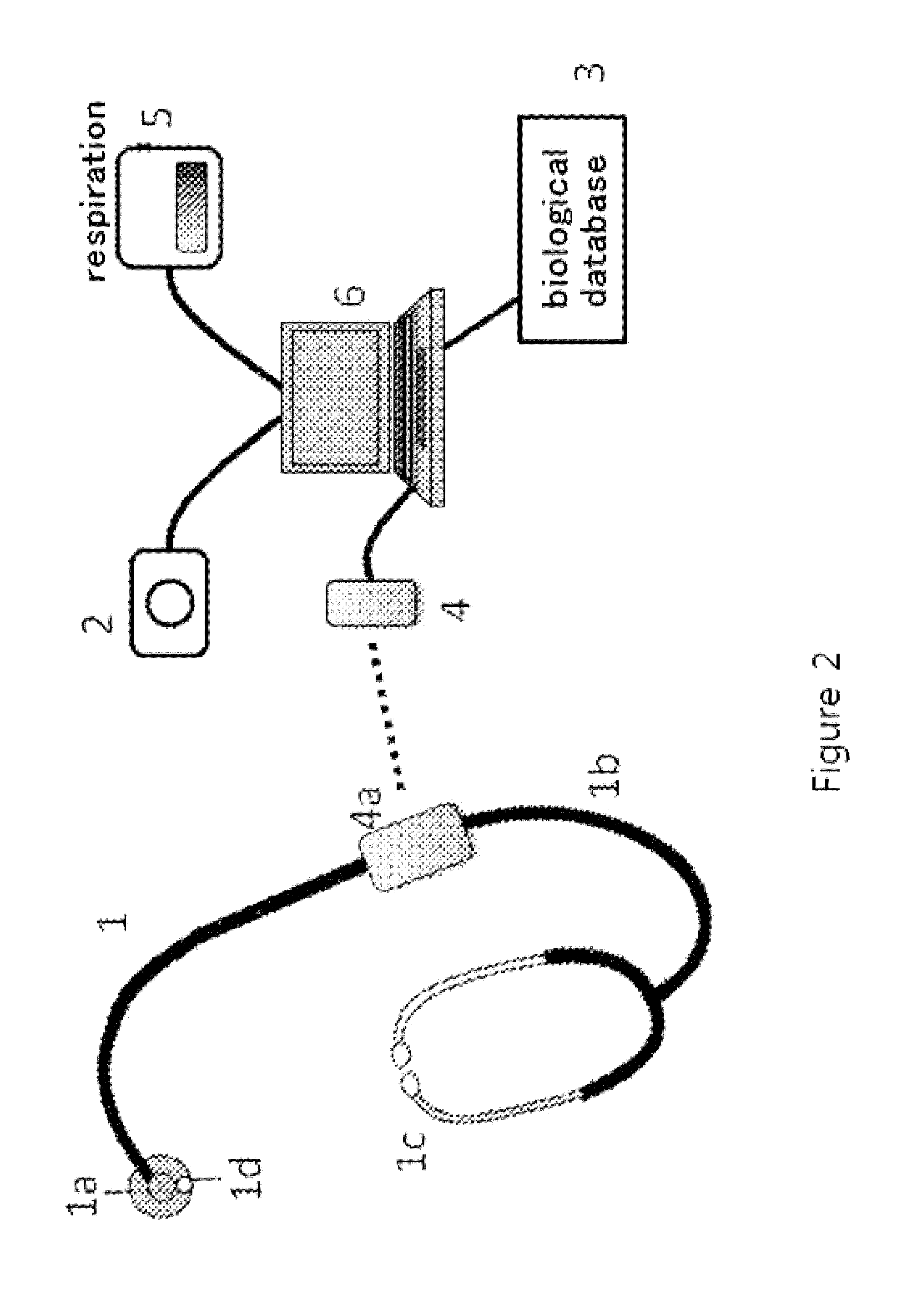 Stethoscopy training system and simulated stethoscope