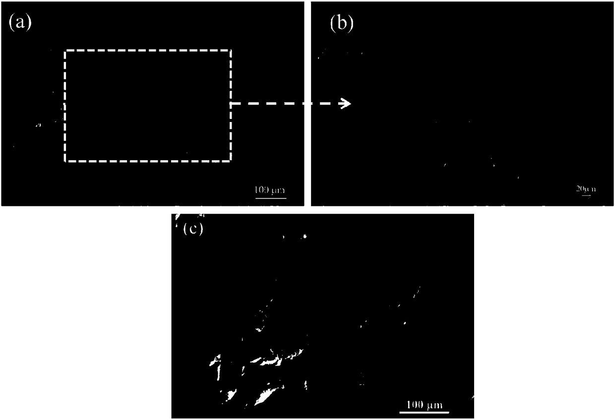 Preparation method and application of porous conductive polymer material with pressure sensitive properties