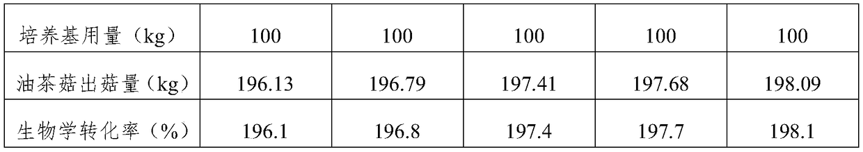 Cultivation method of agrocybe cylindracea