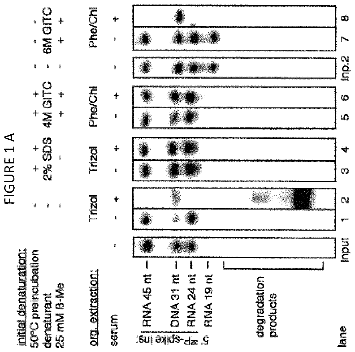 Method of RNA isolation from clinical samples