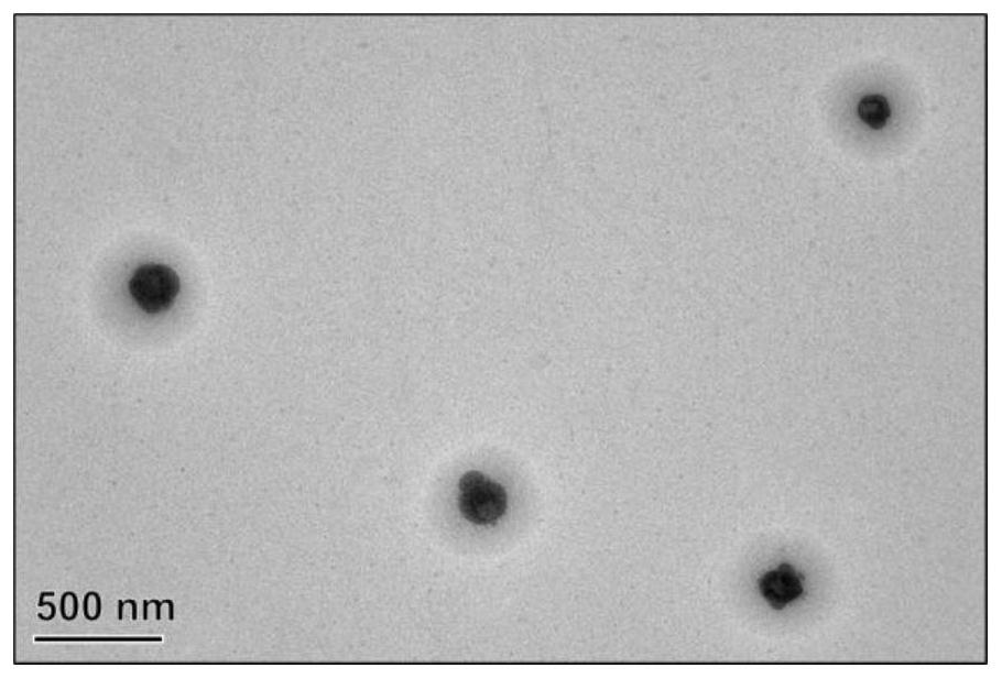 Amphiphobic fluorine-containing nanofluid as well as preparation method and application thereof