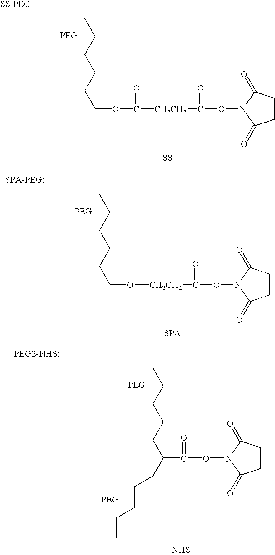 Modified arginine deiminase